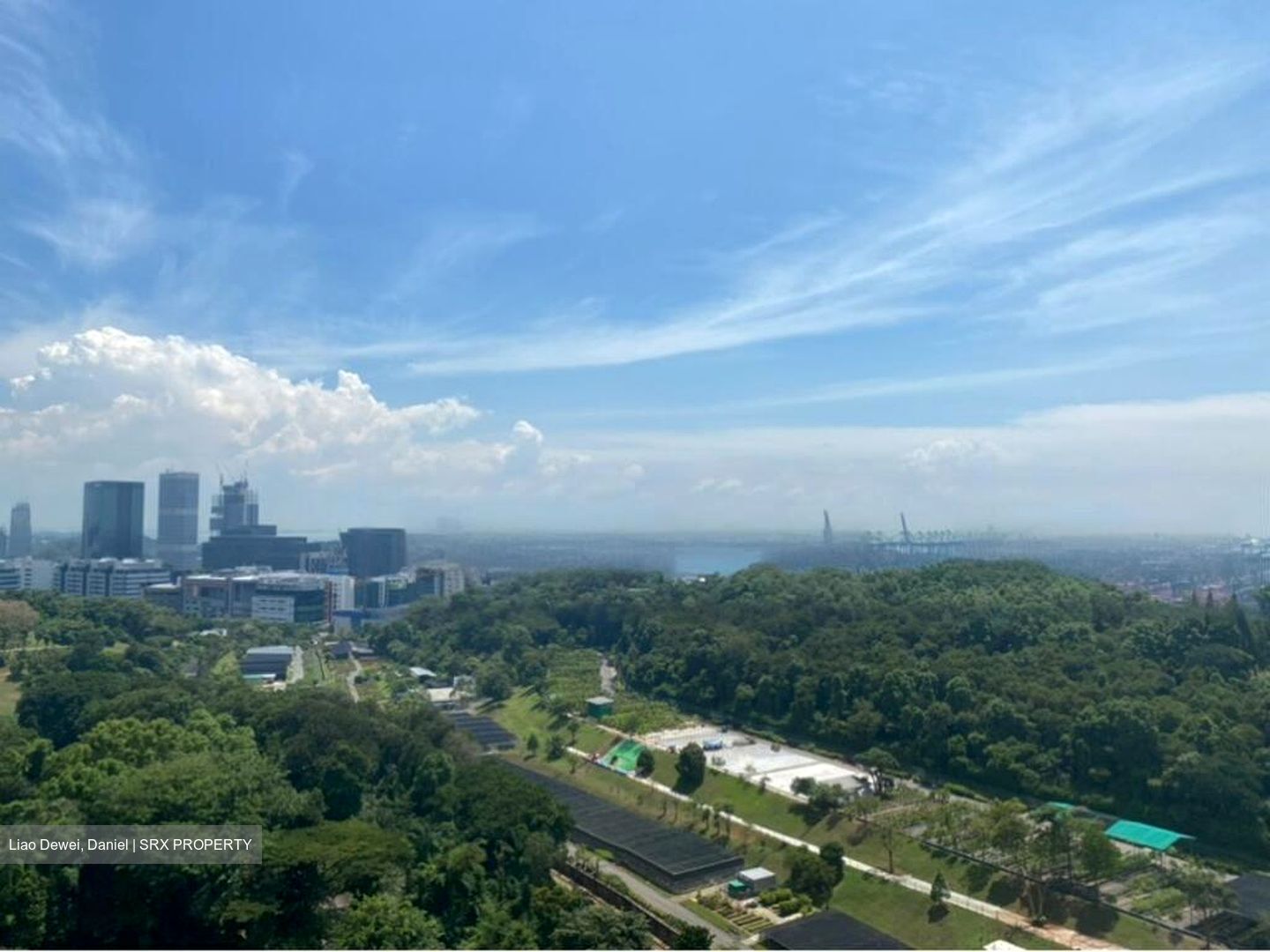 Normanton Park (D5), Apartment #451366681